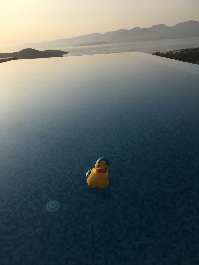 Villa Estee, Luxury Villa With Private Infinity Pool And Jacuzzi Elounda Exteriör bild